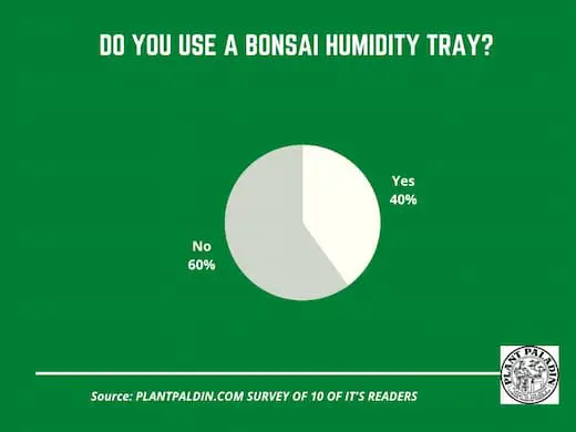 bonsai humidity tray - survey results
