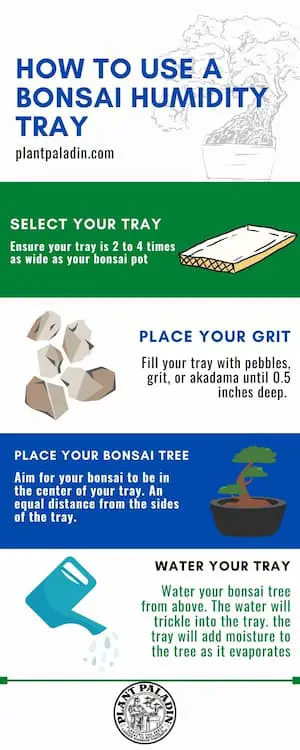How To Use Bonsai Humidity Trays - infographic