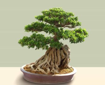 artificial plants for indoors Tropical Artificial Plant  Articture