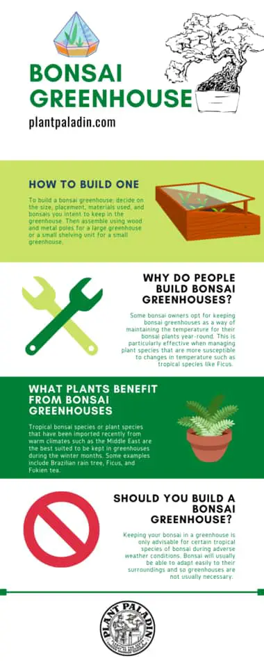 bonsai greenhouse infographic