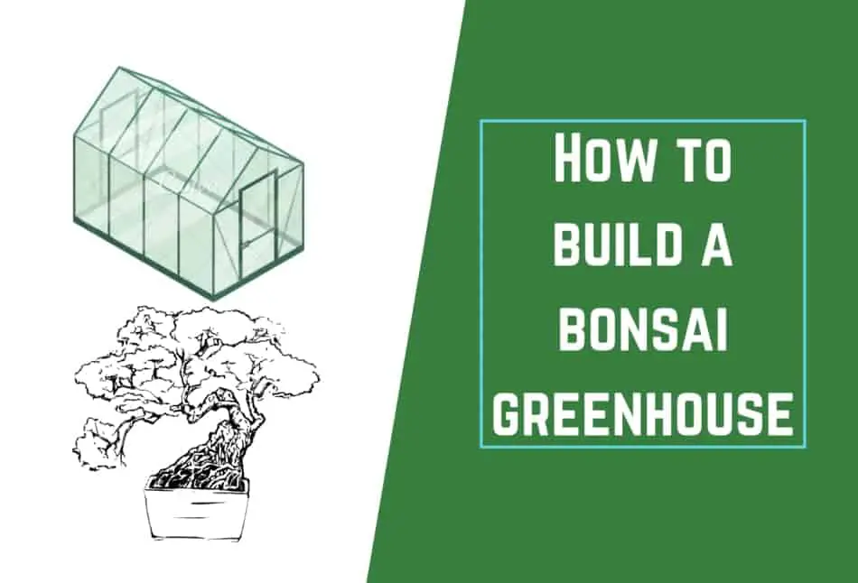 bonsai greenhouse