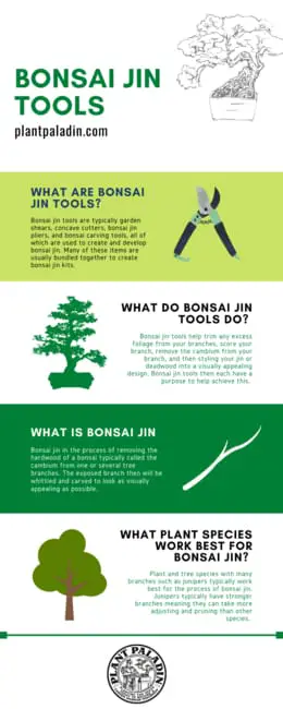 bonsai jin tools infographic