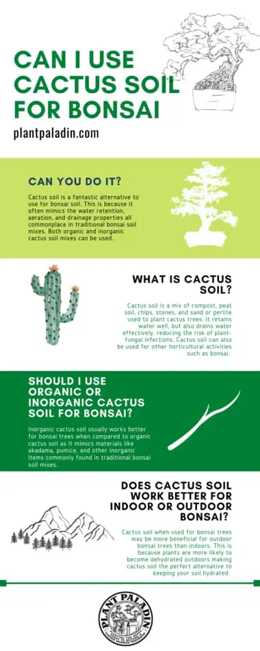 Cactus soil for bonsai infographic