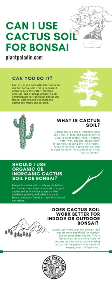 Cactus soil for bonsai infographic