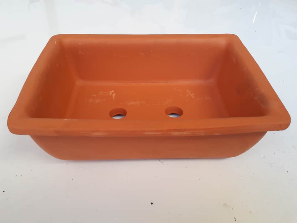 Do Bonsai Pots Need Drainage Holes?