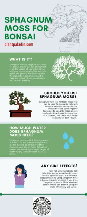 Sphagnum moss for bonsai infographic
