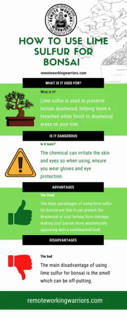 How to use lime sulfur for bonsai - infographic 