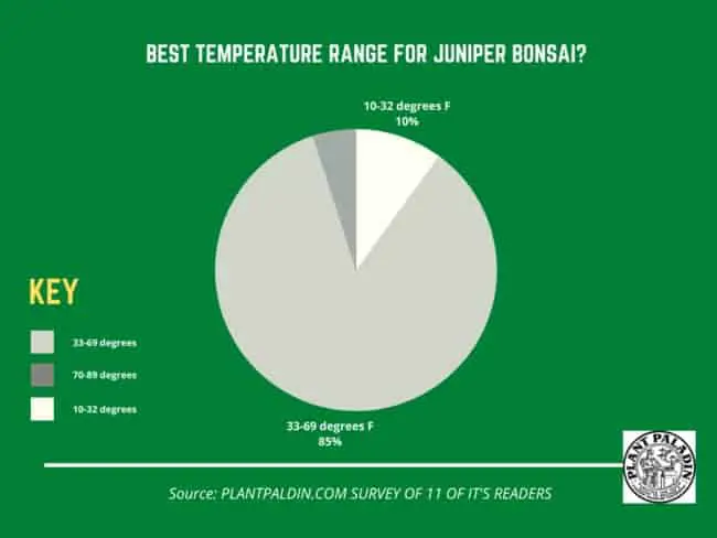 best temperature range for juniper bonsai