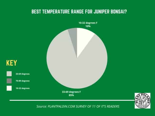 best temperature range for juniper bonsai