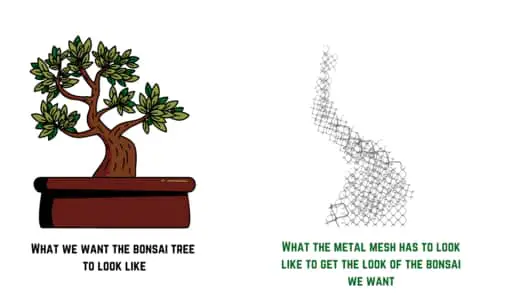 bonsai mesh design for bonsai trunk fusion
