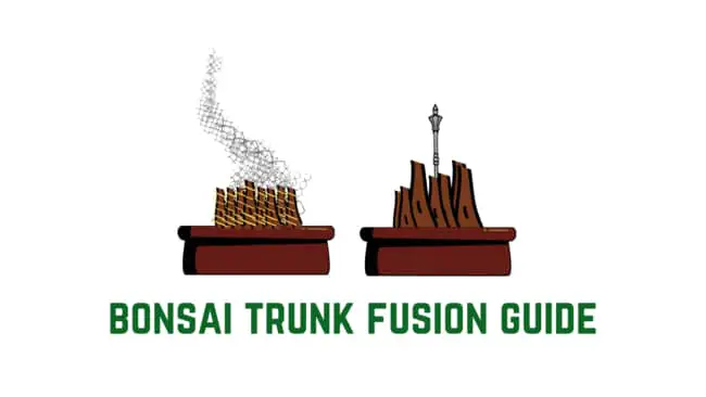 Bonsai trunk fusion guide