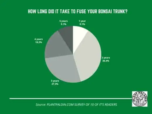 bonsai trunk fusion survey