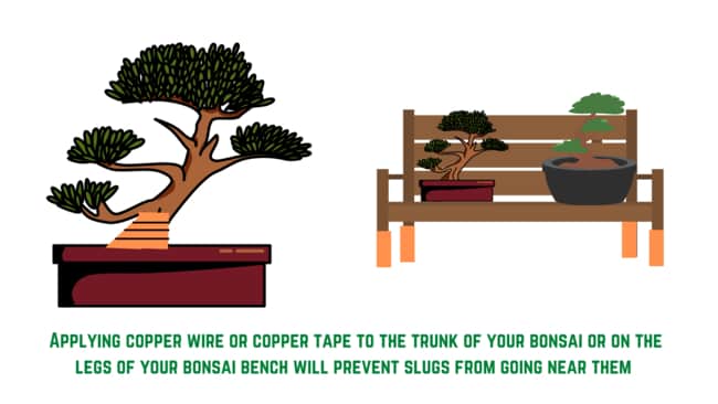 using copper wire to avoid slugs 