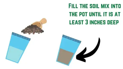 pour the soil into the pot