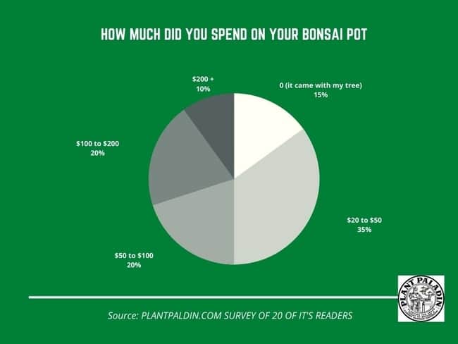 Why are bonsai pots so expensive - survey results