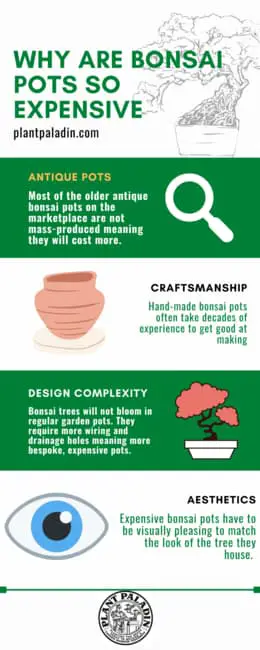 Why are bonsai pots so expensive? - infographic