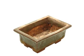 Why Are Bonsai Pots So Expensive? - Plant Paladin