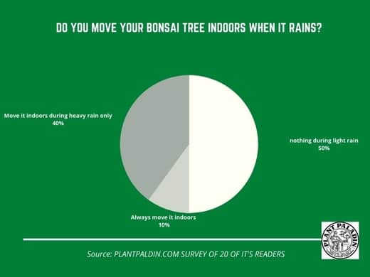 bonsai trees and rainwater - survey results
