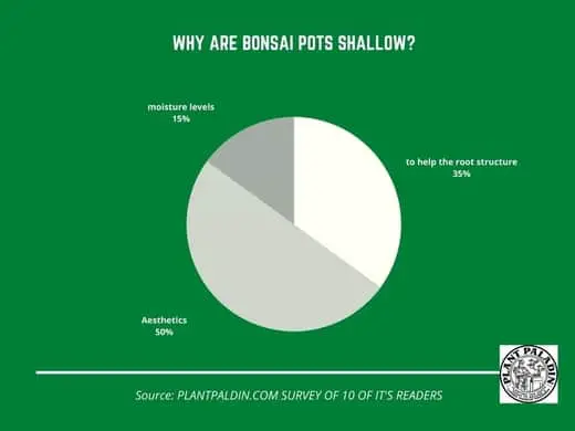 Why are bonsai pots shallow - survey results