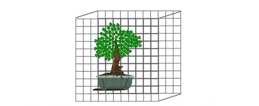 mesh cage to stop squirrels eating bonsai