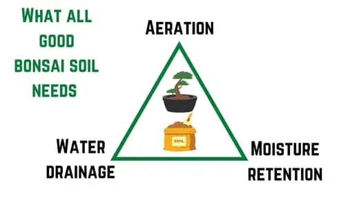 Potting Soil For Bonsai Trees - what good soil needs