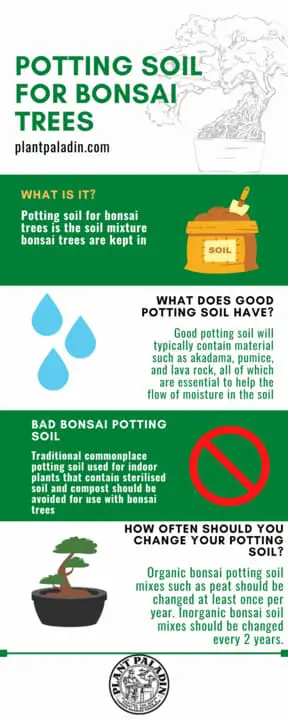 Potting Soil For Bonsai Trees
