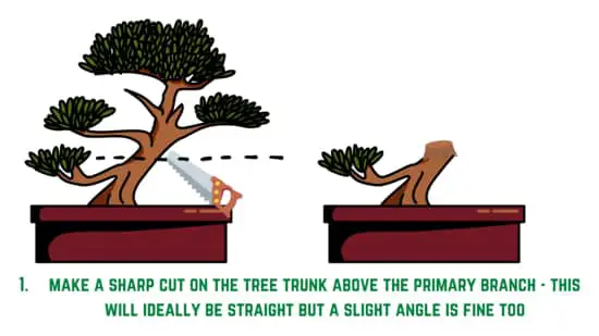 V-cut bonsai trunk chop - step 1 