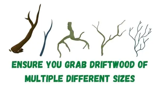 Multiple sizes of driftwood