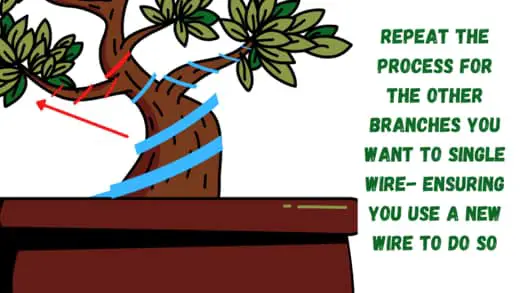 wrap the rest of the branches