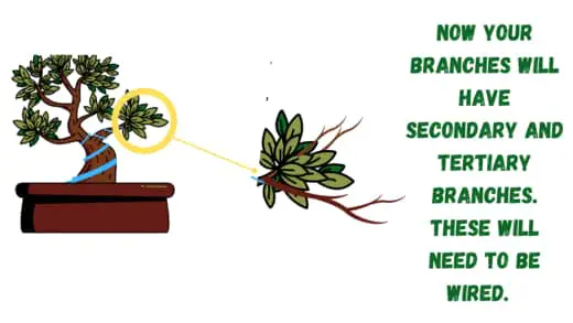 how to wire small branches