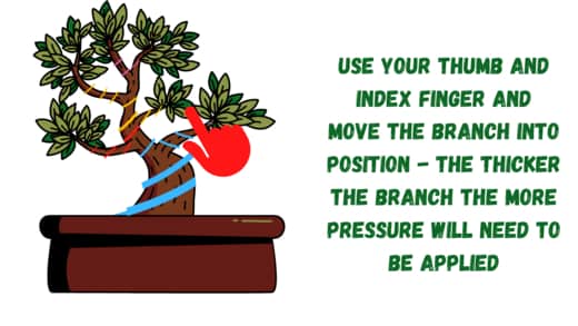 Move your bonsai wire into position