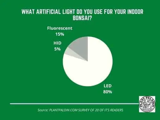 Artificial Light For Bonsai Trees - study