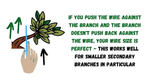 bonsai tree wire test pass