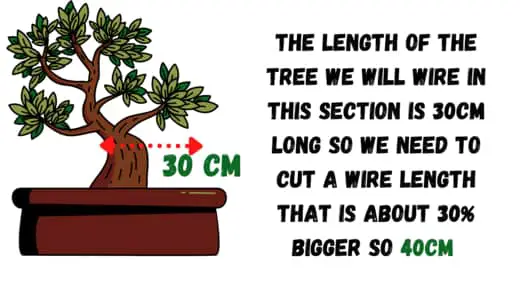bonsai tree wire size