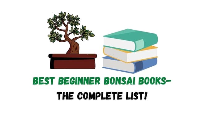 Best Bonsai Books Beginners
