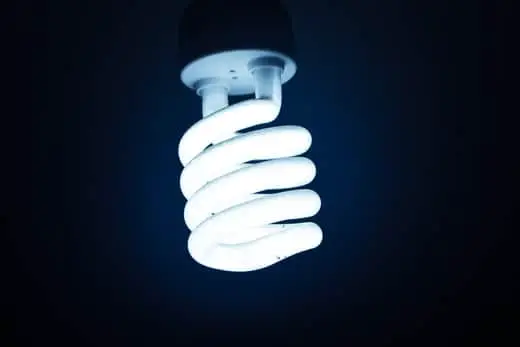 Florescent light bulb - Artificial Light For Bonsai Trees
