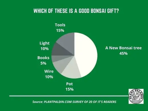 Best Bonsai Tree Gift Ideas - survey