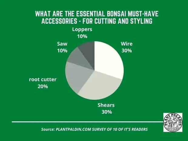 essential bonsai must-have accessories - survey