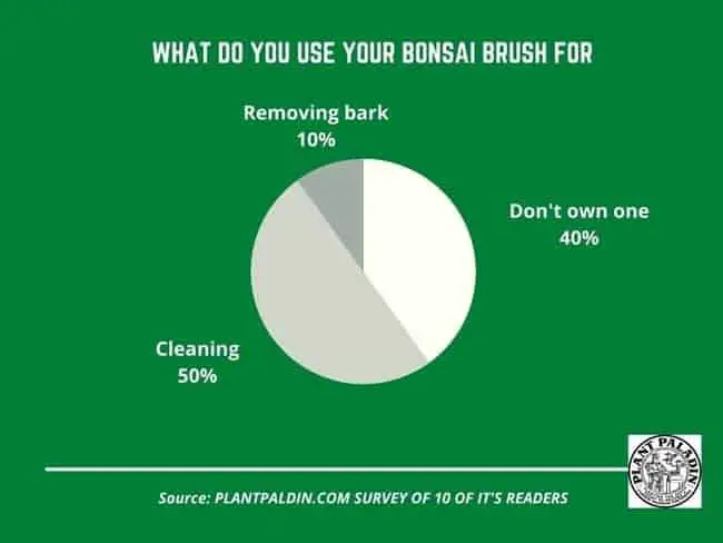 What are bonsai brushes used for? - survey results