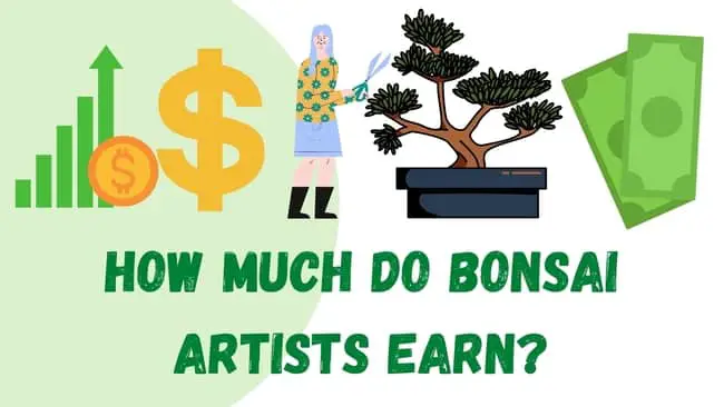 How much do bonsai artists make 