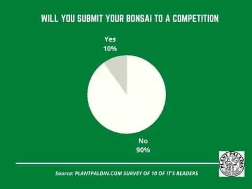 Are there bonsai competitions