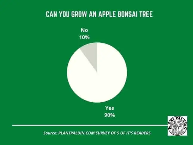 Bonsai apple tree - survey results