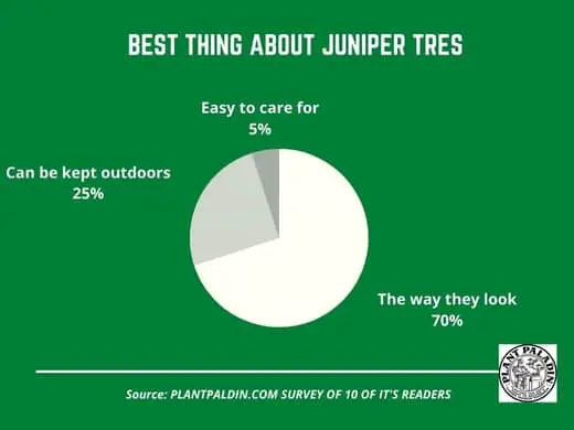 Survey on pros and cons of juniper trees - pros