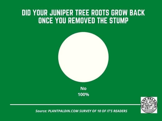 will juniper roots grow back - survey results - stump removal