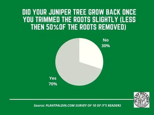 will juniper roots grow back - survey results - partial root removal