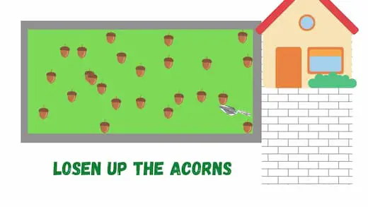 Loosen up the acorns