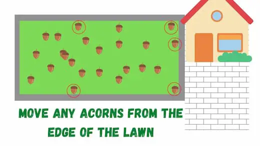 Move the acorns from the edge of the lawn 