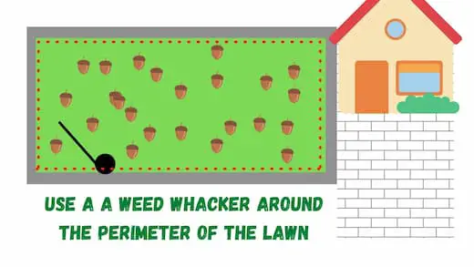 use the weed whacker