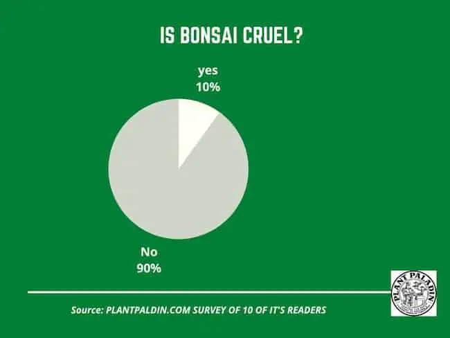 Is bonsai cruel? - survey results