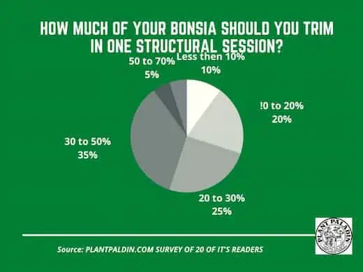 Can you over prune bonsai - Survey results
